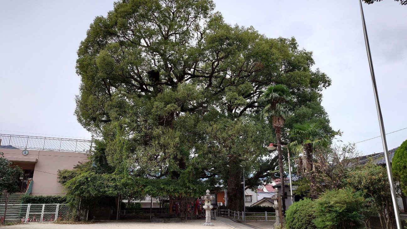 f:id:n-hayataro:20251209123822j:image f:id:n-hayataro:20251209123822j:image