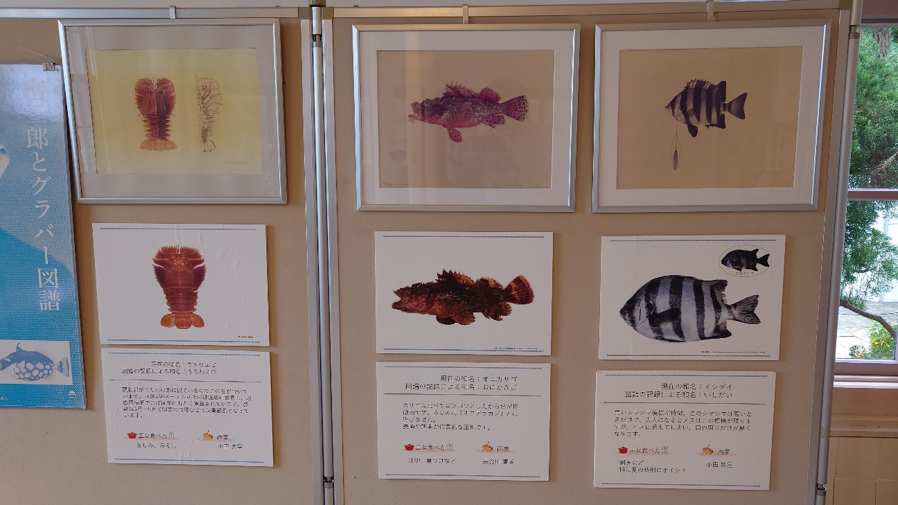 f:id:n-hayataro:20251215210823j:image f:id:n-hayataro:20251215210823j:image