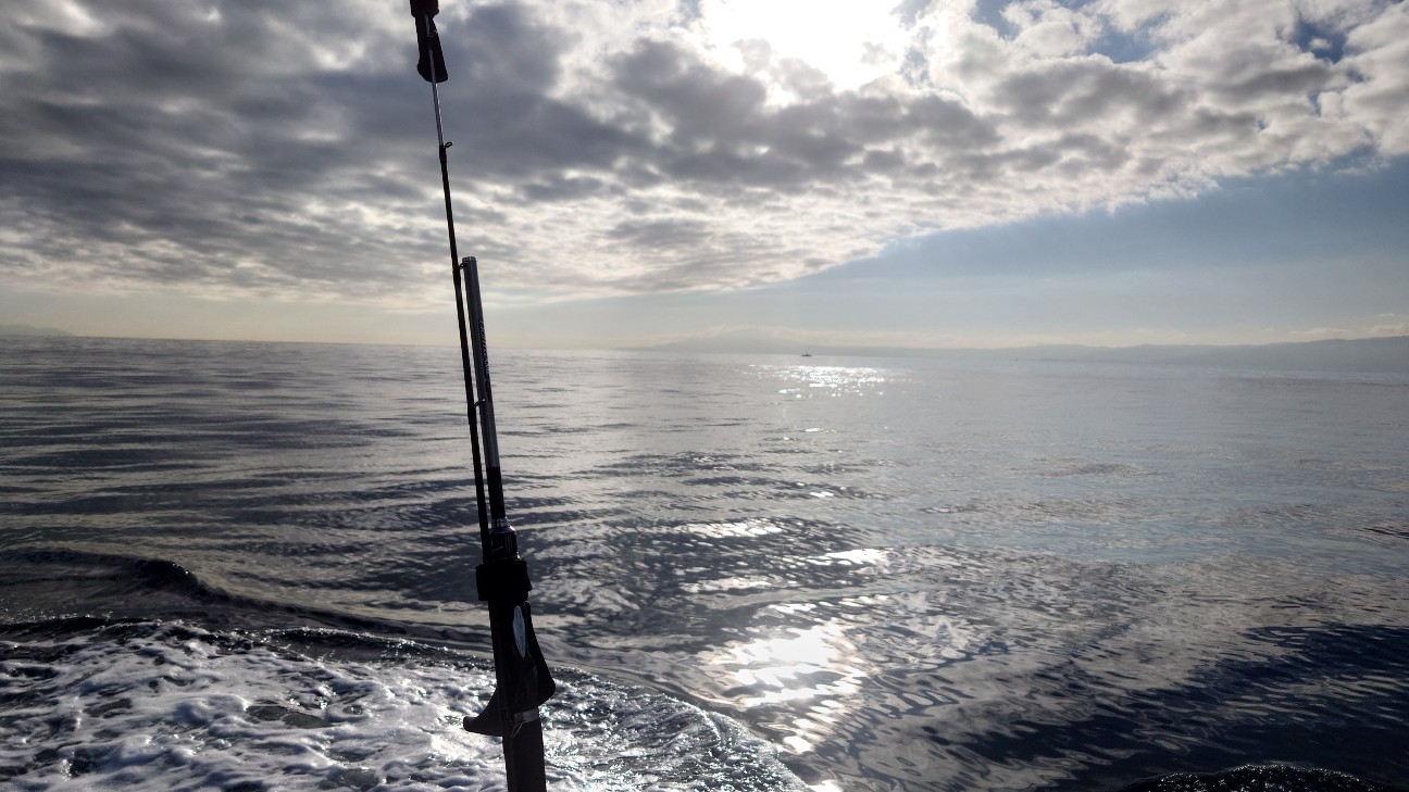 f:id:n-hayataro:20251218210438j:image