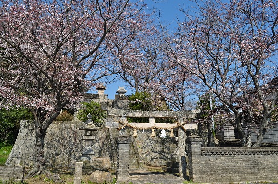 f:id:n-ikemura:20120404155958j:image