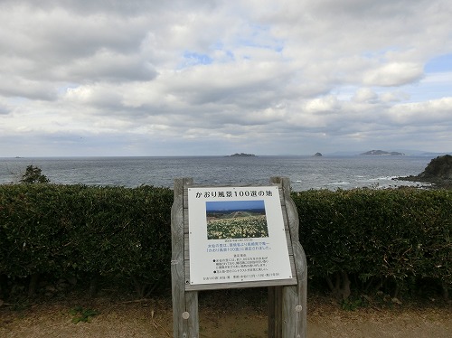 f:id:n-ikemura:20190122201507j:image