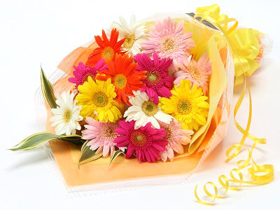 f:id:n-ishii:20190122062140j:plain f:id:n-ishii:20190122062140j:plain