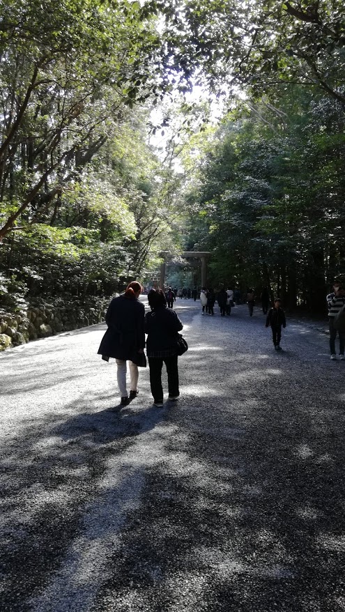 f:id:n-kanae:20180501150605j:plain f:id:n-kanae:20180501150605j:plain