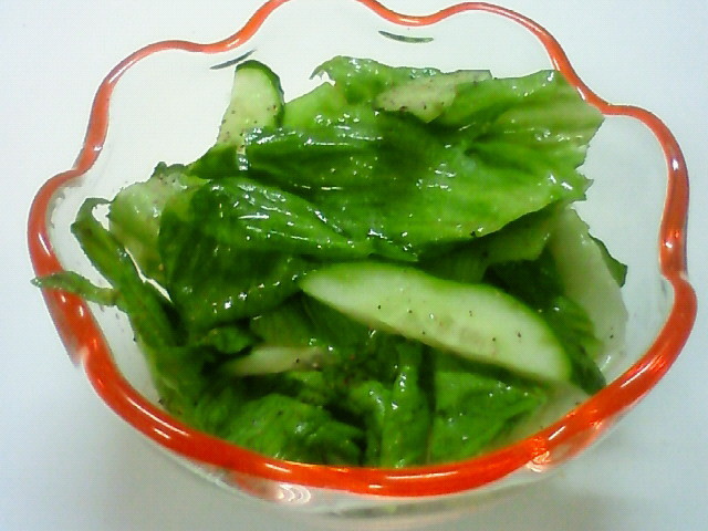 f:id:n-ko:20100529114600j:image f:id:n-ko:20100529114600j:image