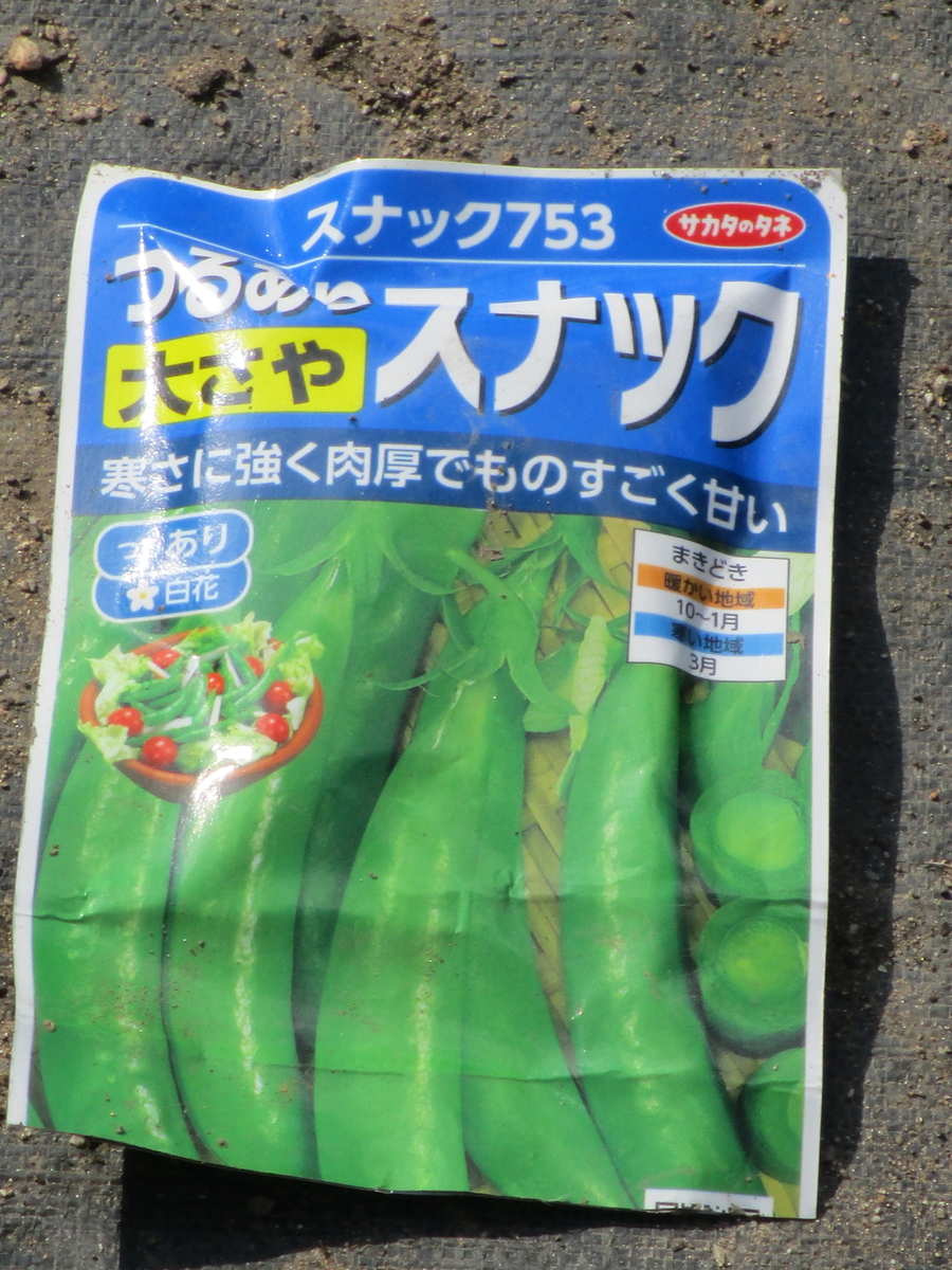 f:id:n-kosakuninn:20211028135731j:plain