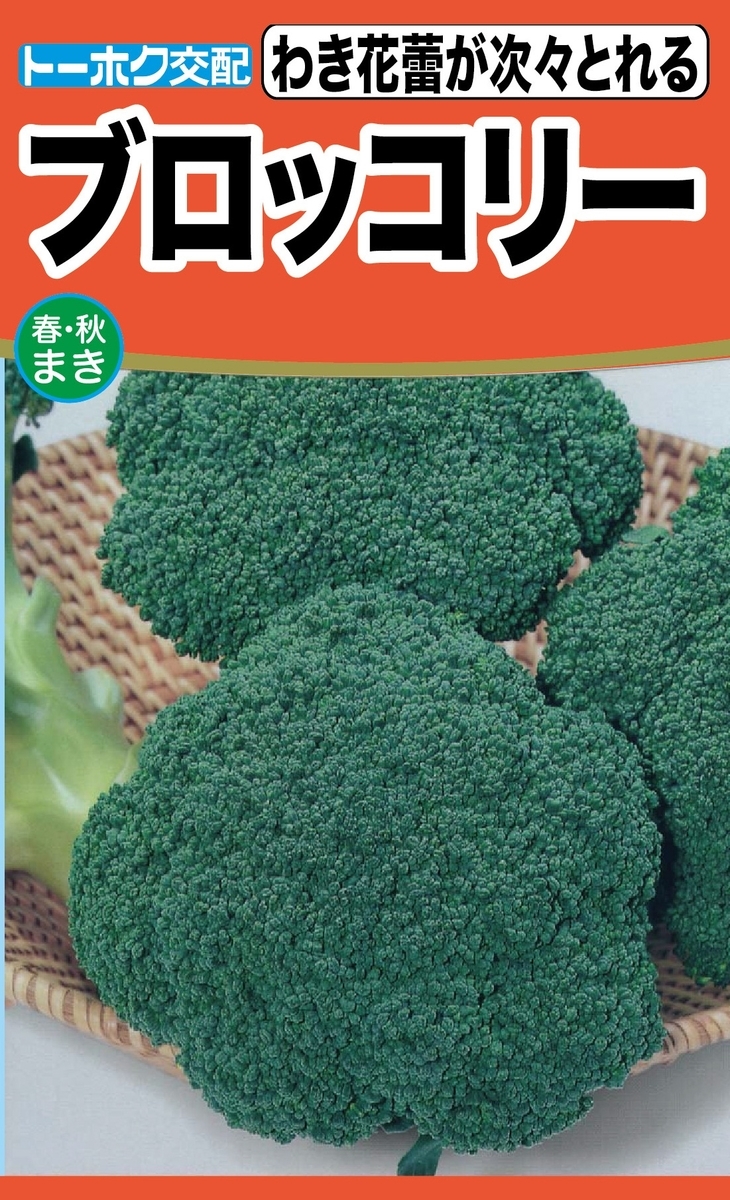 f:id:n-kosakuninn:20211028140200j:plain