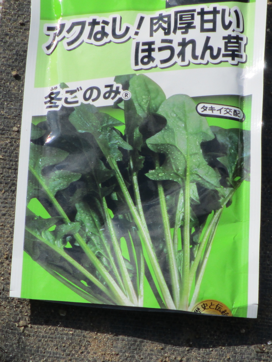 f:id:n-kosakuninn:20211028140242j:plain