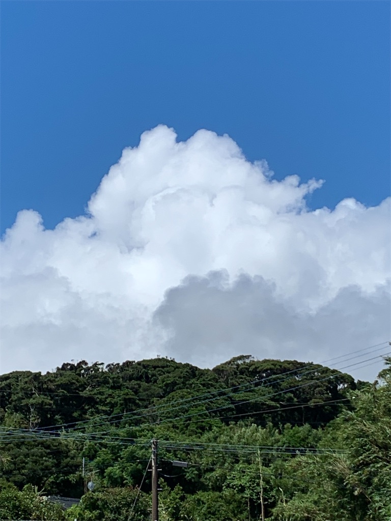 f:id:n-kou:20220703110133j:image