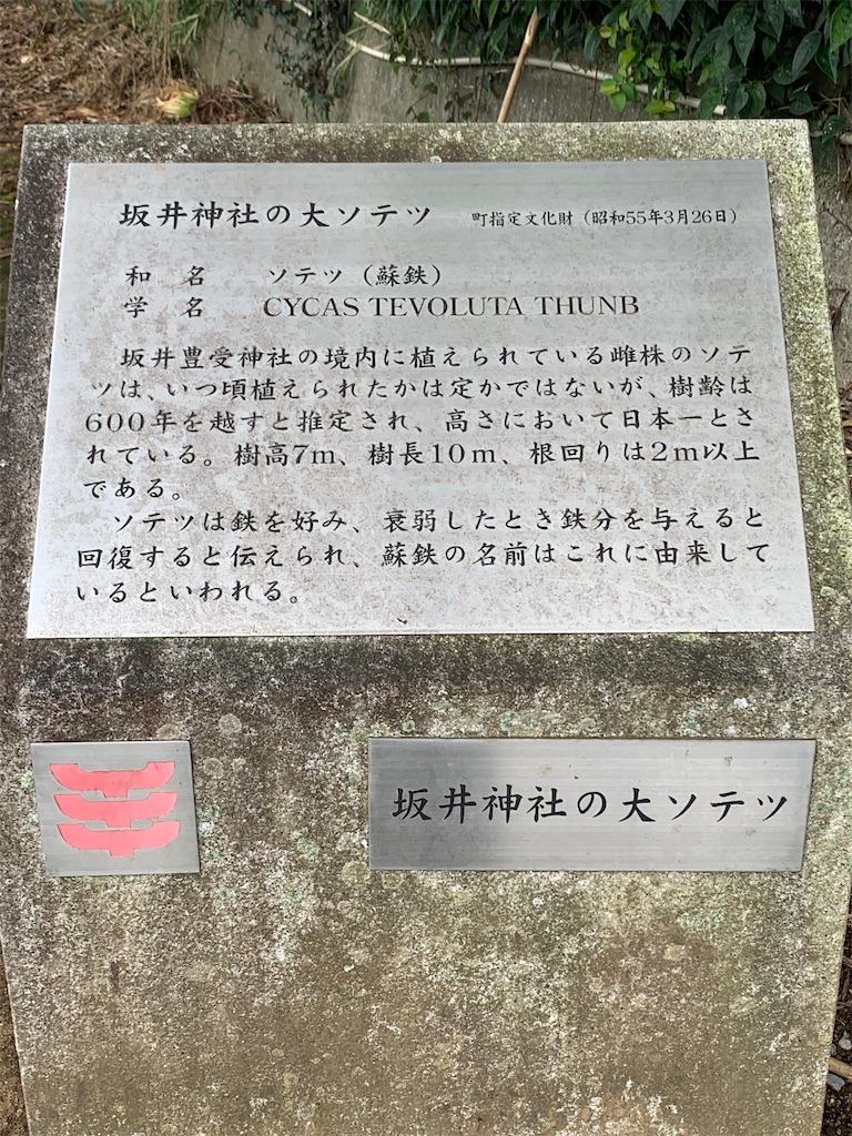f:id:n-kou:20220725093630j:image