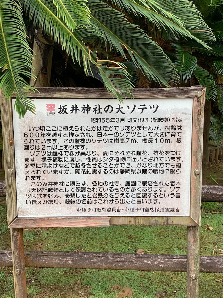 f:id:n-kou:20220725093924j:image