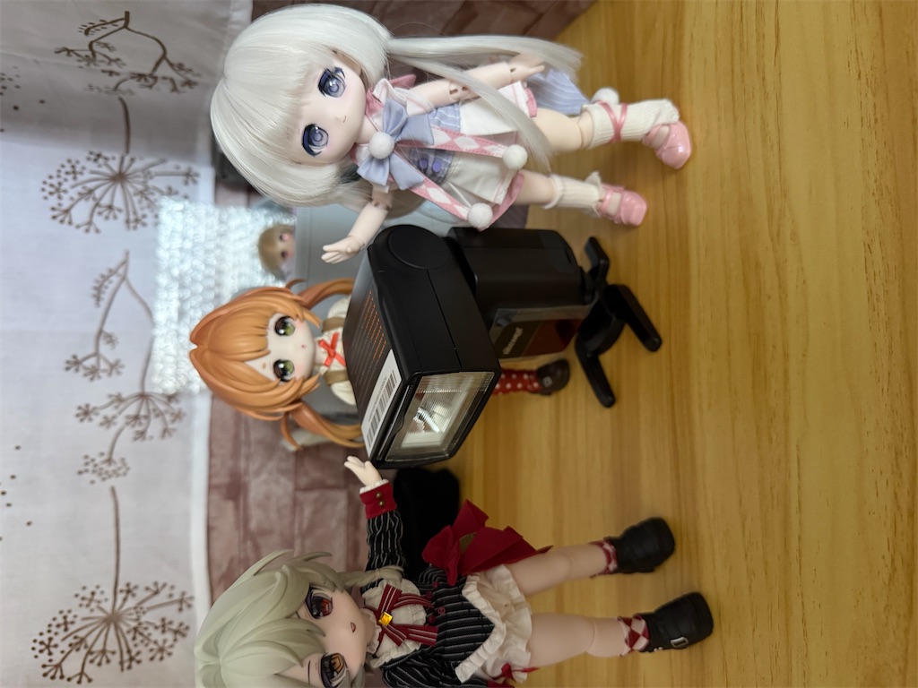 f:id:n-kuga:20260510145217j:image