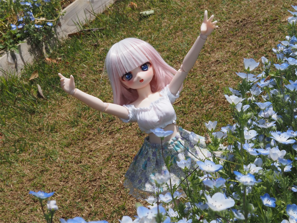 f:id:n-kuga:20260510220532j:image
