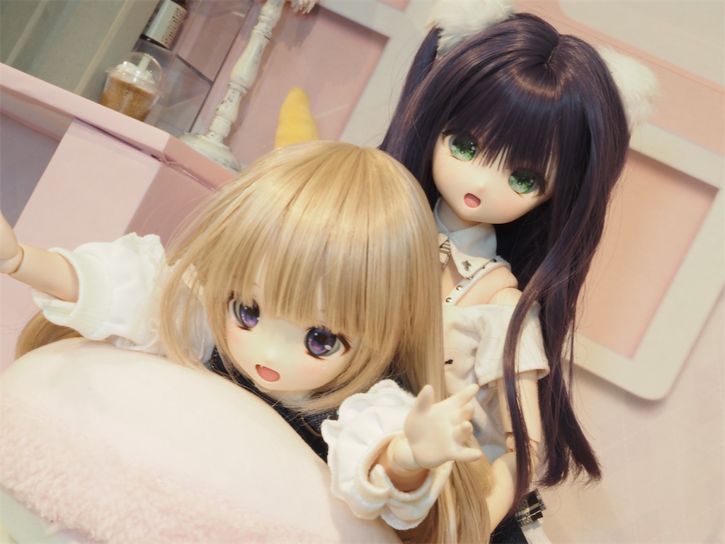 f:id:n-kuga:20260511211327j:image