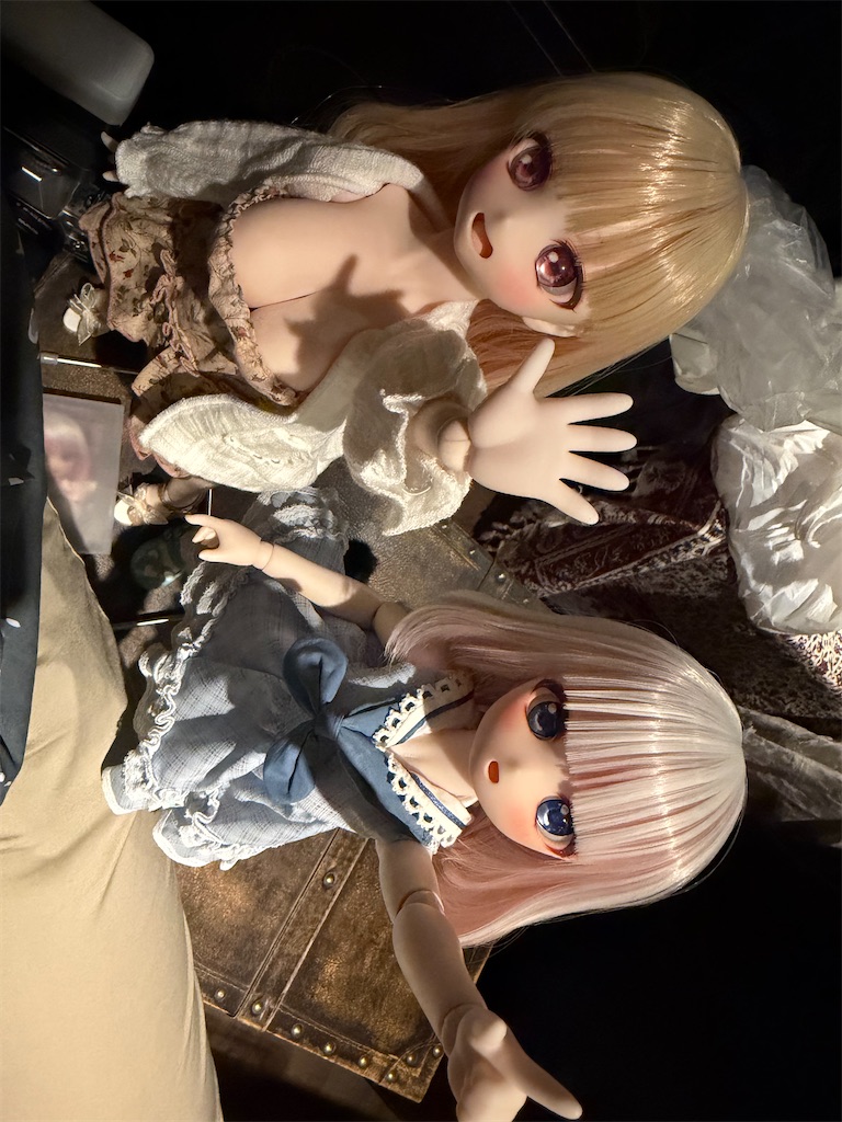 f:id:n-kuga:20260615215059j:image