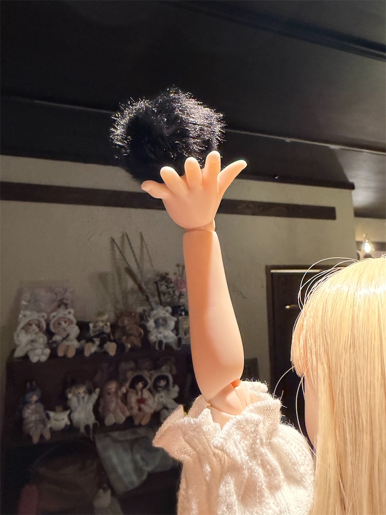 f:id:n-kuga:20260615220541j:image