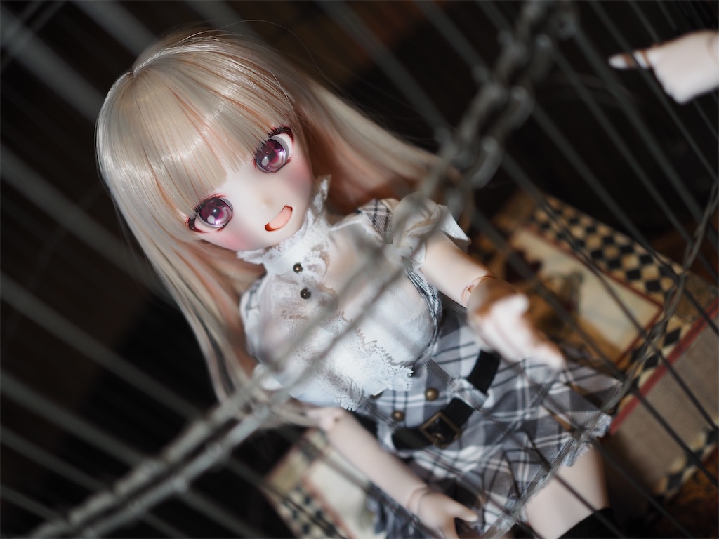 f:id:n-kuga:20260616072616j:image
