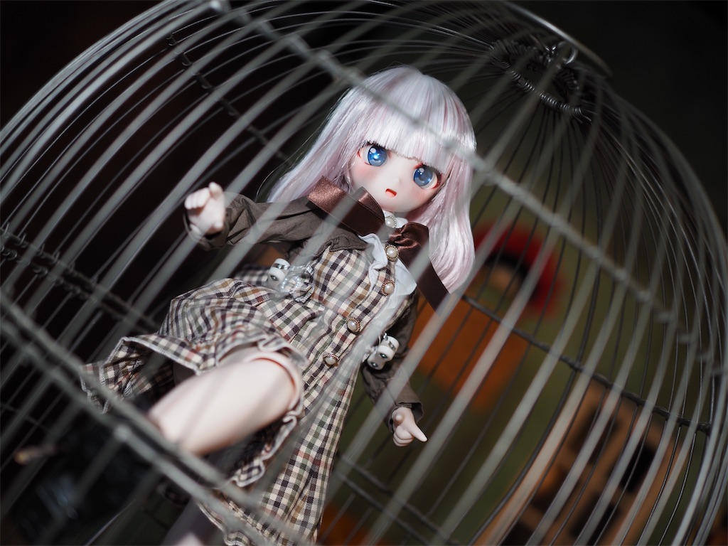 f:id:n-kuga:20260616072715j:image