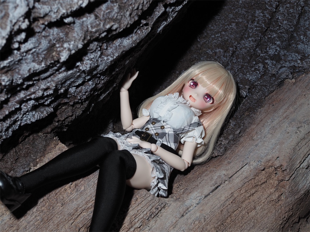f:id:n-kuga:20260616073657j:image