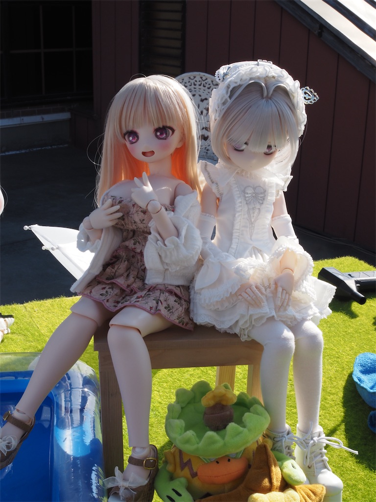 f:id:n-kuga:20260617072434j:image