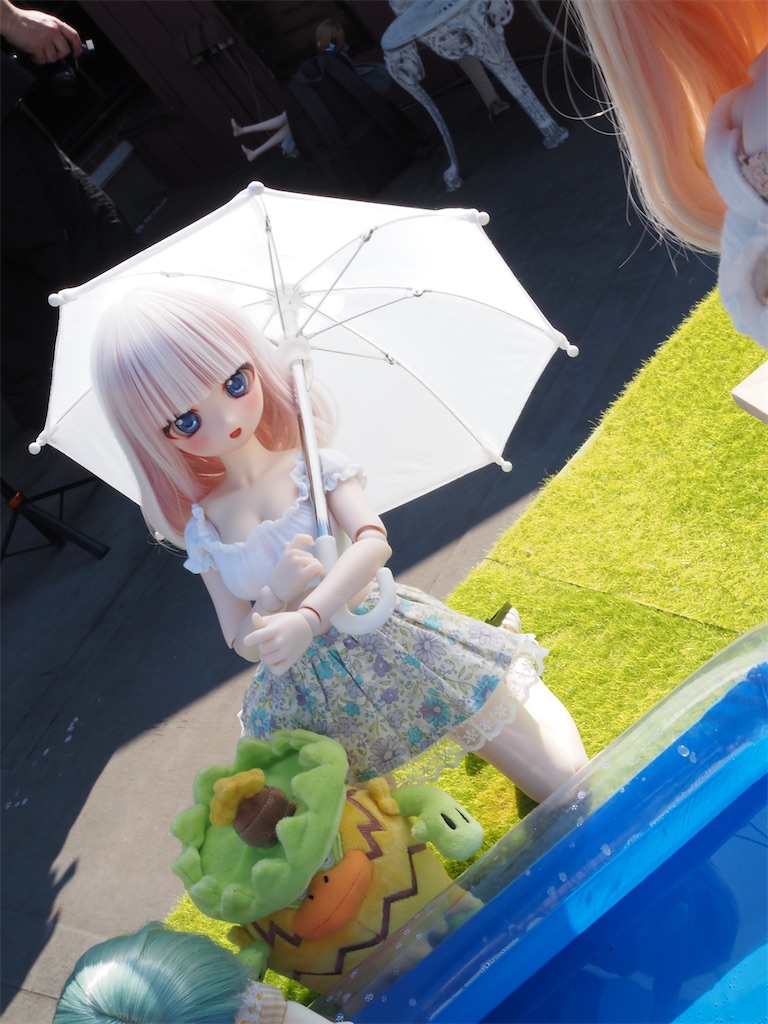 f:id:n-kuga:20260617072438j:image