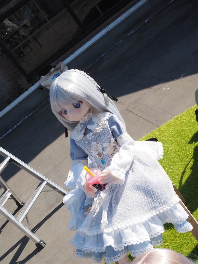 f:id:n-kuga:20260617072444j:image