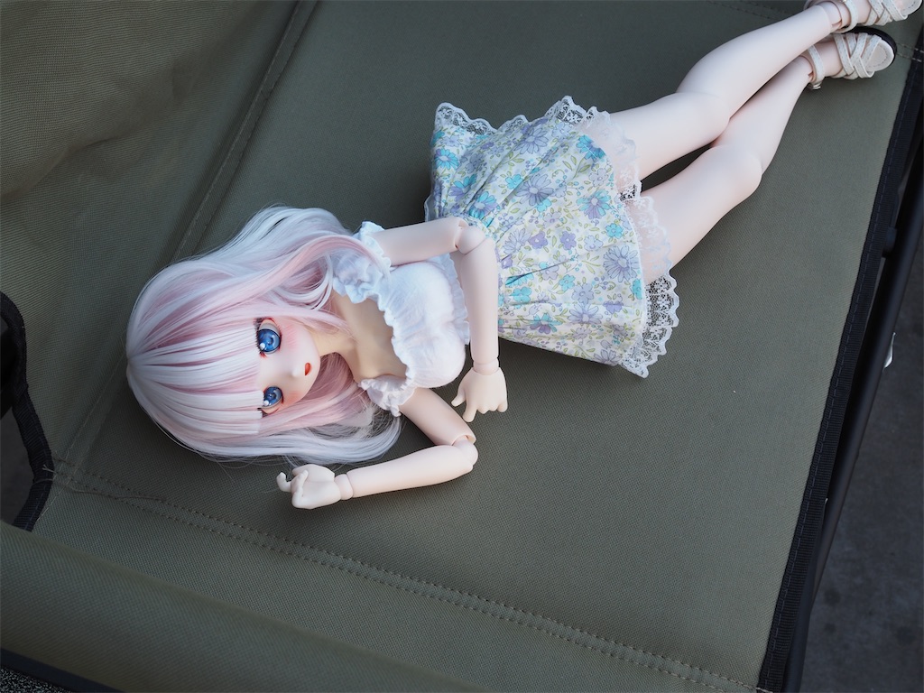 f:id:n-kuga:20260617075023j:image
