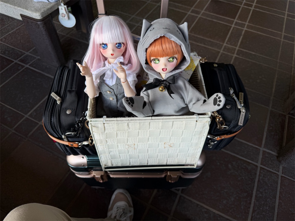 f:id:n-kuga:20260727104220j:image