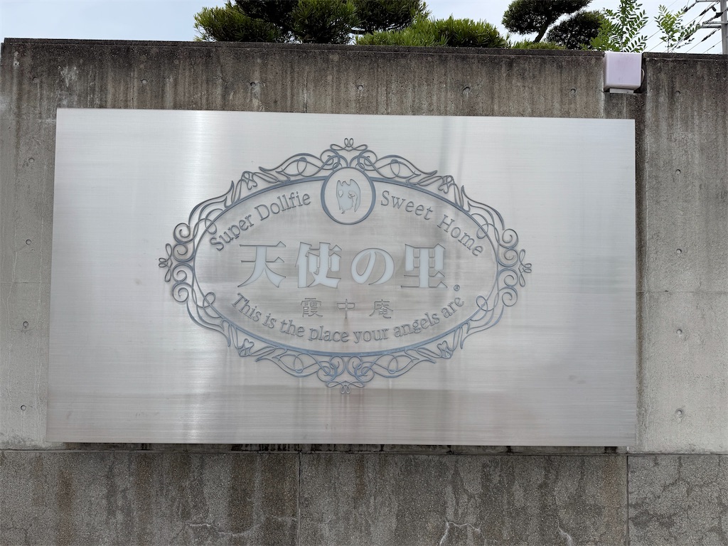 f:id:n-kuga:20260727212651j:image
