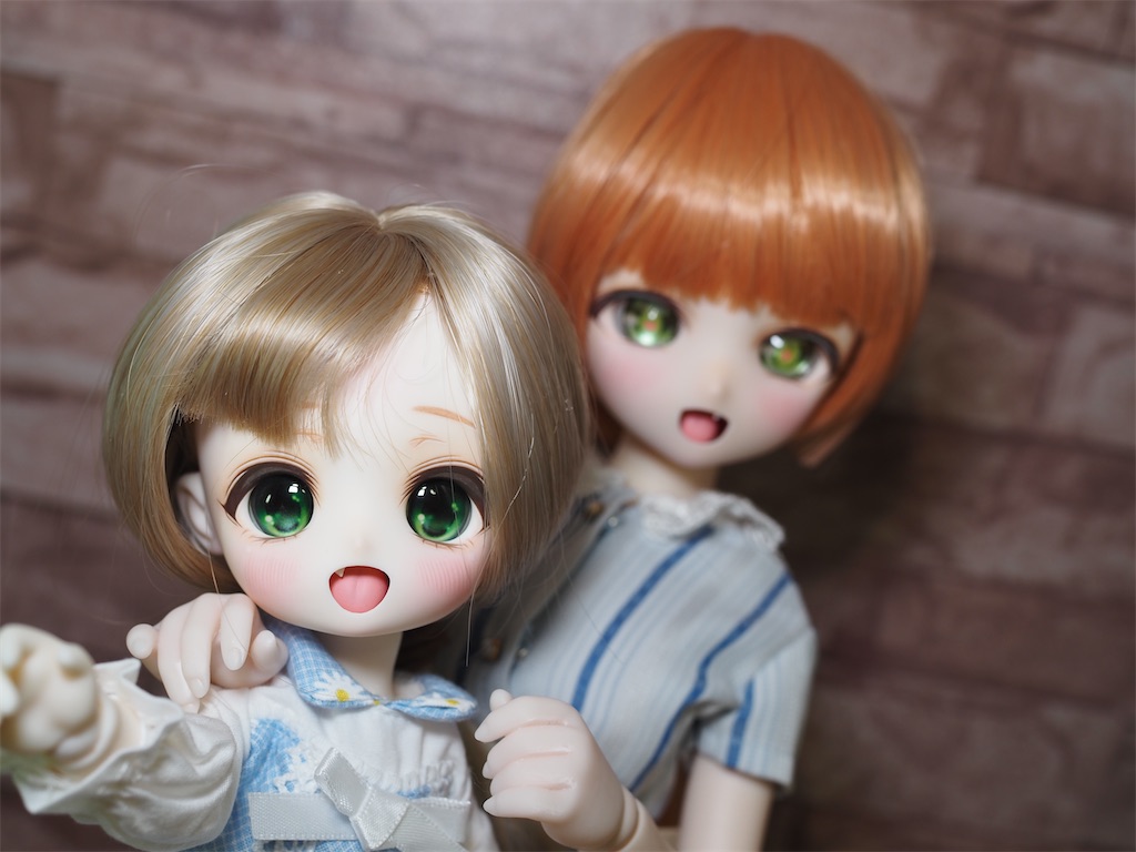 f:id:n-kuga:20260802082028j:image