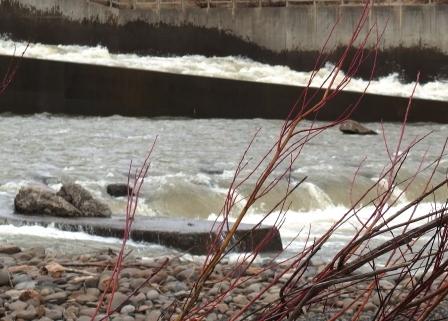 釣り用に格安腰巻ライフジャケットを買ってみたという話 Uguing Life