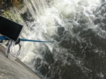 水中撮影 婚姻色のウグイとエゾウグイの映像が撮れました ついでにドジョウも Uguing Life