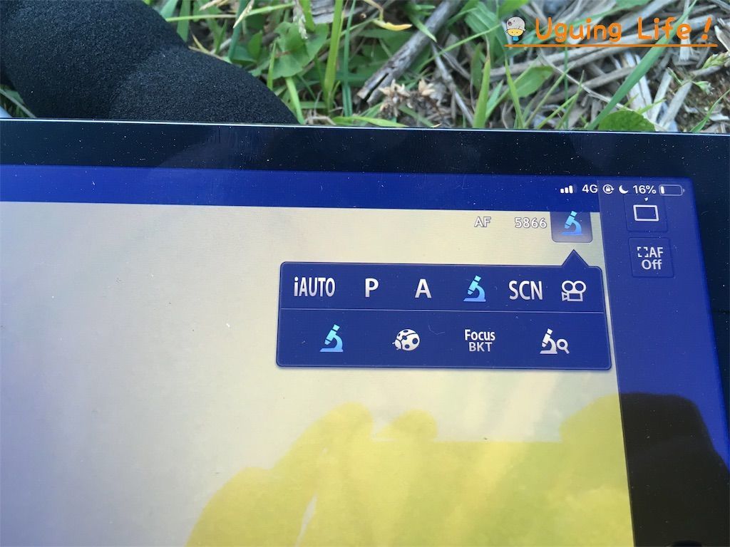 f:id:n-m-c-9311:20190602211031j:plain f:id:n-m-c-9311:20190602211031j:plain