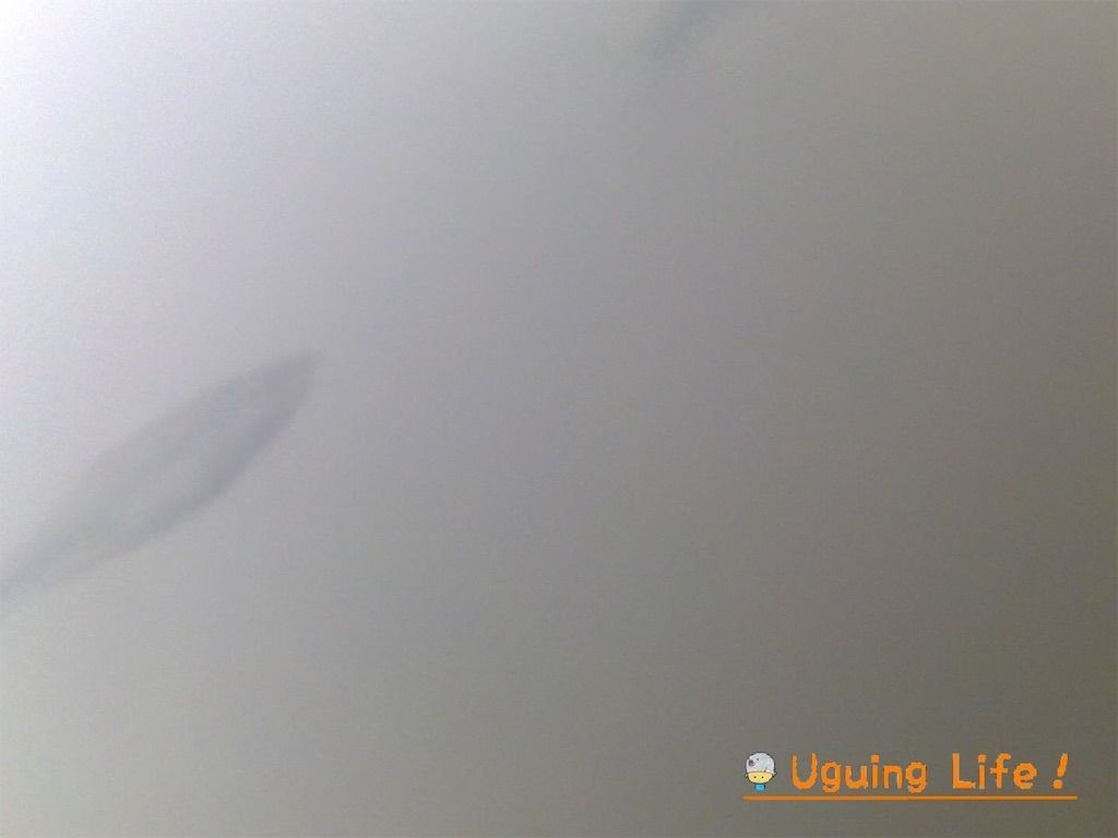 f:id:n-m-c-9311:20190602211325j:plain f:id:n-m-c-9311:20190602211325j:plain