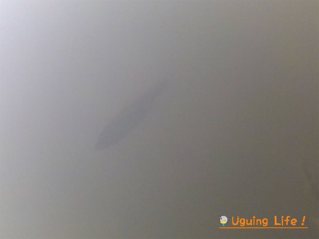 f:id:n-m-c-9311:20190602211331j:plain f:id:n-m-c-9311:20190602211331j:plain
