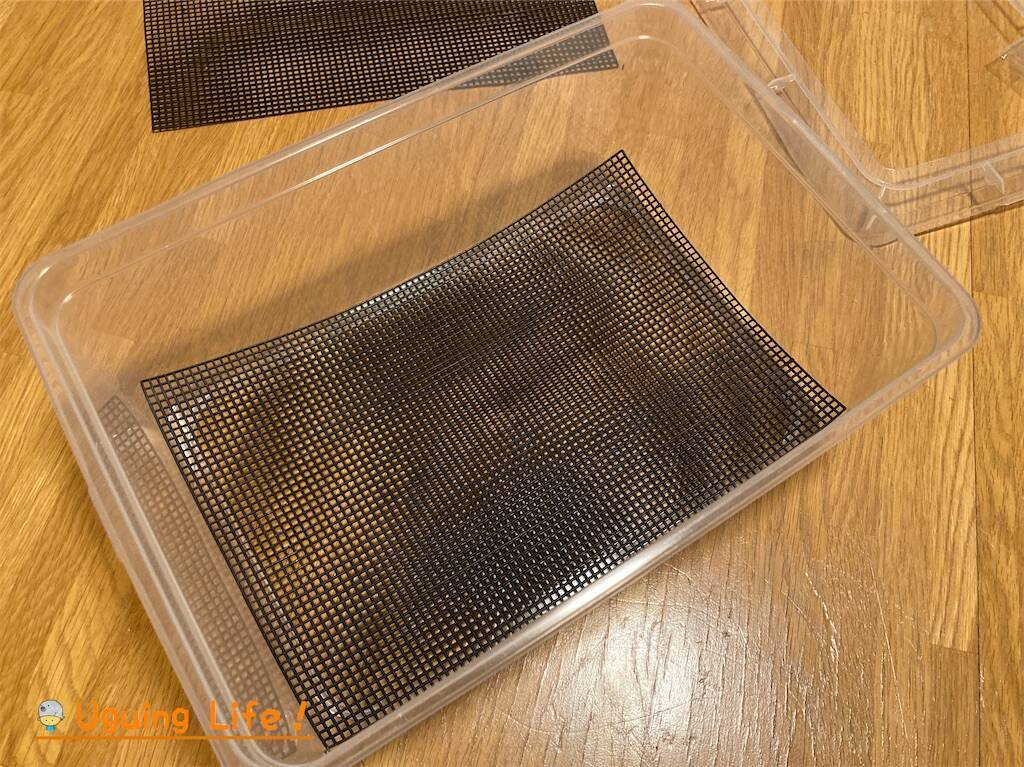 デュビアケースごと DIY】ダイソー素材で作るデュビア飼育ケース｜換気抜群＆掃除ラク