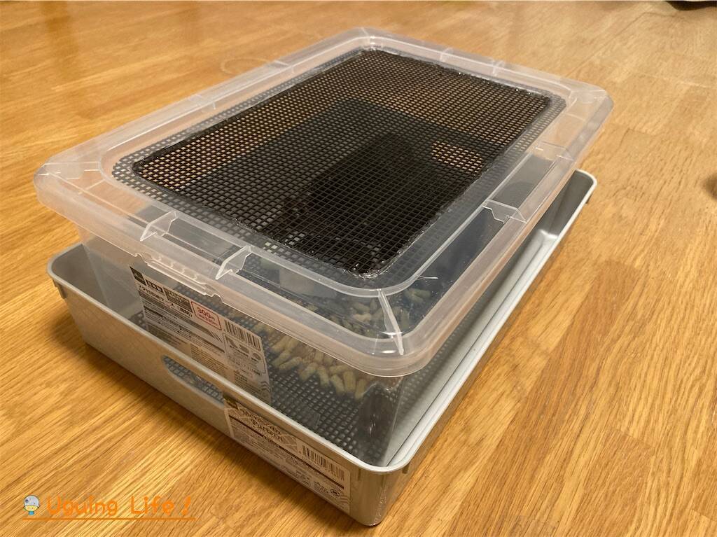 デュビアケースごと DIY】ダイソー素材で作るデュビア飼育ケース｜換気抜群＆掃除ラク
