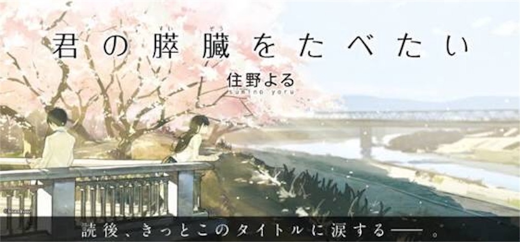 f:id:n-syoota:20160916230745j:image