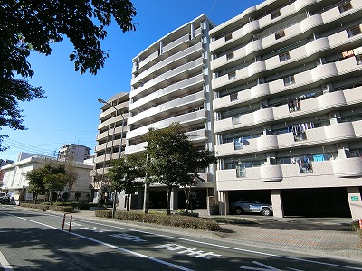 f:id:n-tenjin-cjs:20170202190624j:plain f:id:n-tenjin-cjs:20170202190624j:plain