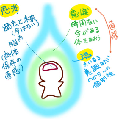 思考、意識、魂、直感、哲学