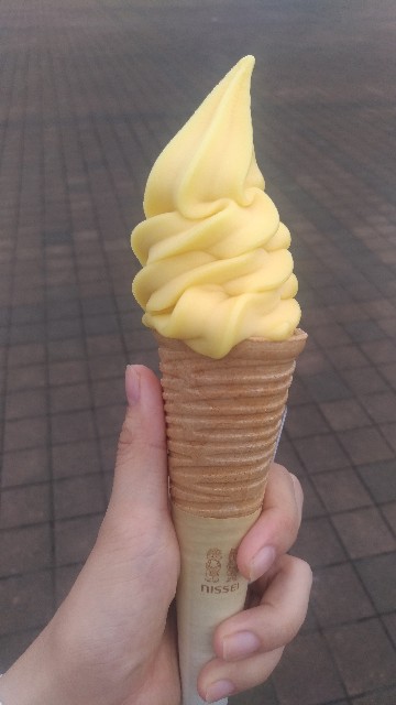 f:id:n-village:20190715055216j:image