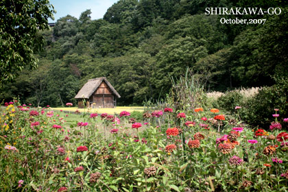 f:id:n0309:20081013005849j:image