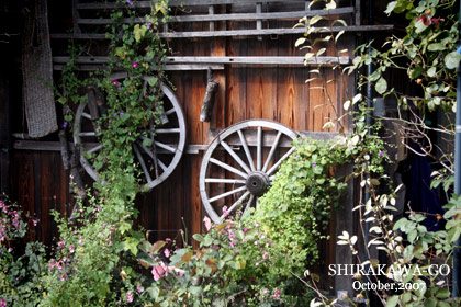 f:id:n0309:20081013005850j:image