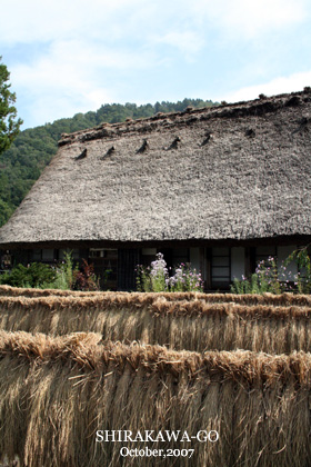 f:id:n0309:20081013005851j:image