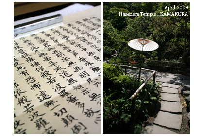 f:id:n0309:20090502020323j:image