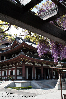 f:id:n0309:20090502020326j:image