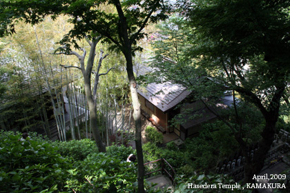 f:id:n0309:20090502020327j:image