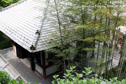f:id:n0309:20090502020328j:image