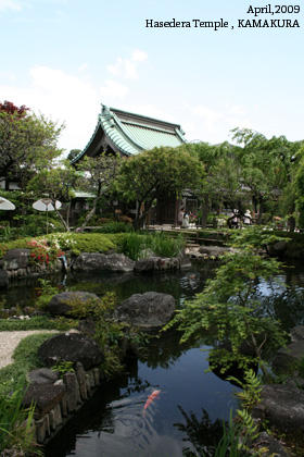 f:id:n0309:20090502020329j:image