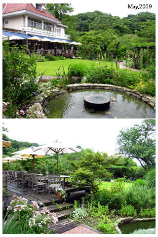 f:id:n0309:20090609215753j:image