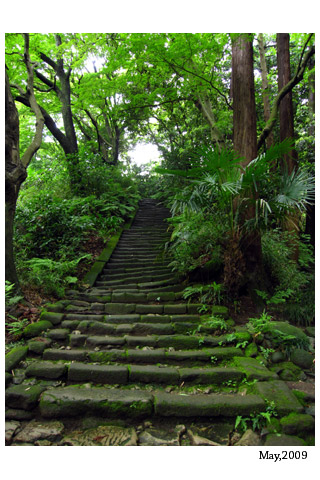 f:id:n0309:20090609215758j:image